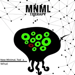What - Single by New Minimal & Tod´z album reviews, ratings, credits