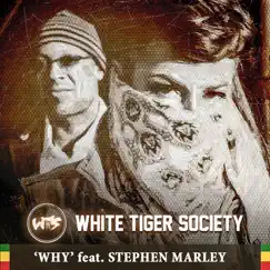 Why (feat. Stephen Marley) - Single by White Tiger Society album reviews, ratings, credits