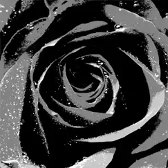 Black Roses (Instrumental) Song Lyrics