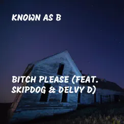 Bitch Please (feat. SkipDog & Delvy D) Song Lyrics