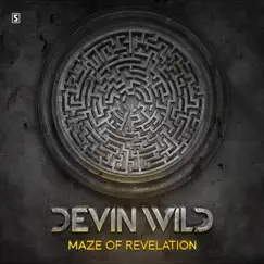 Maze of Revelation - EP by Devin Wild album reviews, ratings, credits
