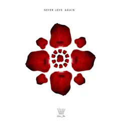 Never Love Again - Single by King Chav album reviews, ratings, credits