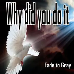 Why Did You Do It - Single by Fade to Gray album reviews, ratings, credits