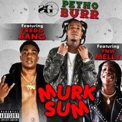 Murk Sum (Feat. YNW Melly, Fredo Bang) - Single by Petho Burr album reviews, ratings, credits