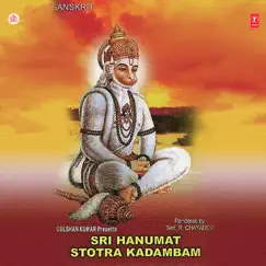 Sri Hanumat Stotra Kadambam by R. Chayadevi album reviews, ratings, credits