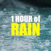 1 HOUR of Rain Sounds for Sleep - Sleep Music Collection album lyrics, reviews, download