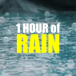 1 HOUR of Rain Sounds for Sleep - Sleep Music Collection by Autogenic Training Specialist & Rain Sounds album reviews, ratings, credits