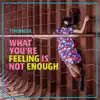 What You're Feeling Is Not Enough - EP album lyrics, reviews, download