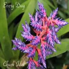 Every Day - Single by Chuck Idol album reviews, ratings, credits