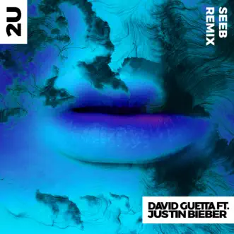 2U (feat. Justin Bieber) [Seeb Remix] - Single by David Guetta album download