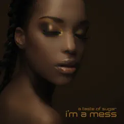 I'm a Mess (Rob Nunjes Instrumental Edit) Song Lyrics