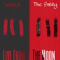 Live from the Moon - EP by Seagull And The Entity album reviews, ratings, credits