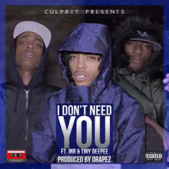 I Don't Need You (Produced by Drapez) [feat. Jnr & Tiny Deepee] - Single by Culprit album reviews, ratings, credits