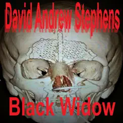 Black Widow - Single by David Andrew Stephens album reviews, ratings, credits