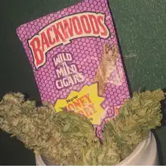 Backwoods in Dubai Song Lyrics