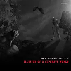 Illusion of a Separate World by David Kollar & Arve Henriksen album reviews, ratings, credits