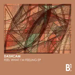 Feel What I'm Feeling - EP by Dashcam album reviews, ratings, credits