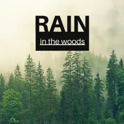 Rain in the Woods - Soft Raindrop, Quiet & Distant Thunder for Deep Relaxation by Rain Sounds & Healing Markrain album reviews, ratings, credits