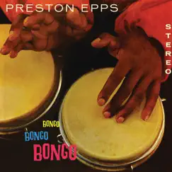 Bongos in Pastel Song Lyrics