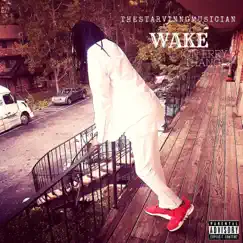 Wake (On Errythang) - Single by TheStarvinngMusician album reviews, ratings, credits