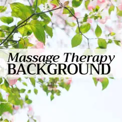 2 Hours of Massage Therapy Background by Wonderful Life Sounds album reviews, ratings, credits