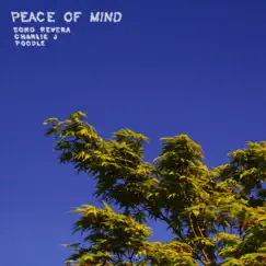 Peace of Mind (feat. Charlie J & Poodle) Song Lyrics