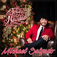 Feliz Navidad - Single by Michael Salgado album reviews, ratings, credits