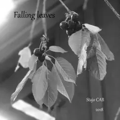 Falling Leaves (feat. Bkwilliamson & Mack) - Single by Stajo CAB album reviews, ratings, credits