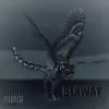 Blkway album lyrics, reviews, download