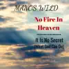 No Fire in Heaven / It Is No Secret - Single album lyrics, reviews, download