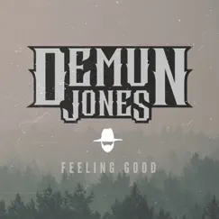 Feeling Good - Single by Demun Jones album reviews, ratings, credits