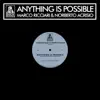 Anything Is Possible - Single album lyrics, reviews, download