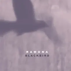 Blackbird - Single by Ramona album reviews, ratings, credits