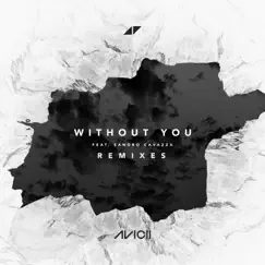 Without You (feat. Sandro Cavazza) [Remixes] - EP by Avicii album reviews, ratings, credits