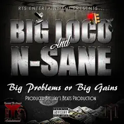 Big Problems or Big Gains - Single by N-Sane & Big Loco album reviews, ratings, credits