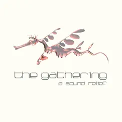 A Sound Relief (Live) by The Gathering album reviews, ratings, credits