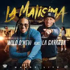 La Malisima (Version Mambo Live) [feat. La Gayarda] - Single by Wilo D New album reviews, ratings, credits