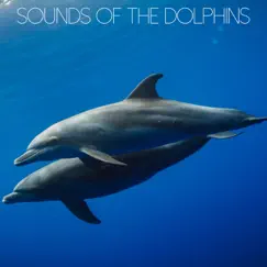 Sounds of the Dolphins by Nature Chillout album reviews, ratings, credits