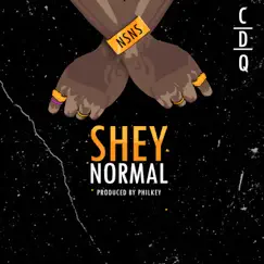 Shey Normal - Single by CDQ album reviews, ratings, credits