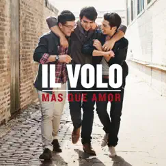 Nuestro Amor (I Don't Want To Miss a Thing) Song Lyrics