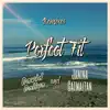 Perfect Fit (Remixes) - Single album lyrics, reviews, download