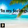 In My Feelings (Remix) song lyrics