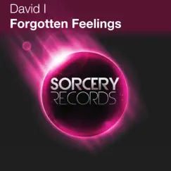 Forgotten Feelings (Nicola Maddaloni Remix) Song Lyrics