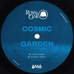 Pleasure Moment - EP by Cosmic Garden album reviews, ratings, credits