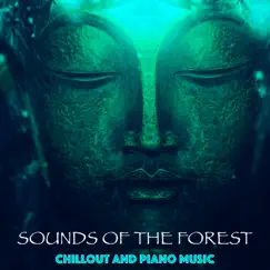 Buddha Bar - Piano Music and Sounds of the Forest by Exams Study USA album reviews, ratings, credits