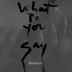What Do You Say - Single by Boga album reviews, ratings, credits