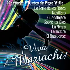 Viva el Mariachi by Mariachi Mexico de Pepe Villa album reviews, ratings, credits