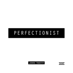 Perfectionist - Single by James Timothy album reviews, ratings, credits