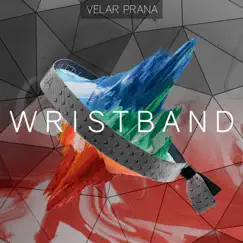 Wristband Song Lyrics