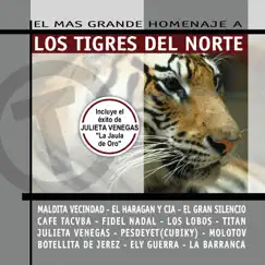 El Mas Grande Homenaje a Los Tigres del Norte (Reissue) by Various Artists album reviews, ratings, credits